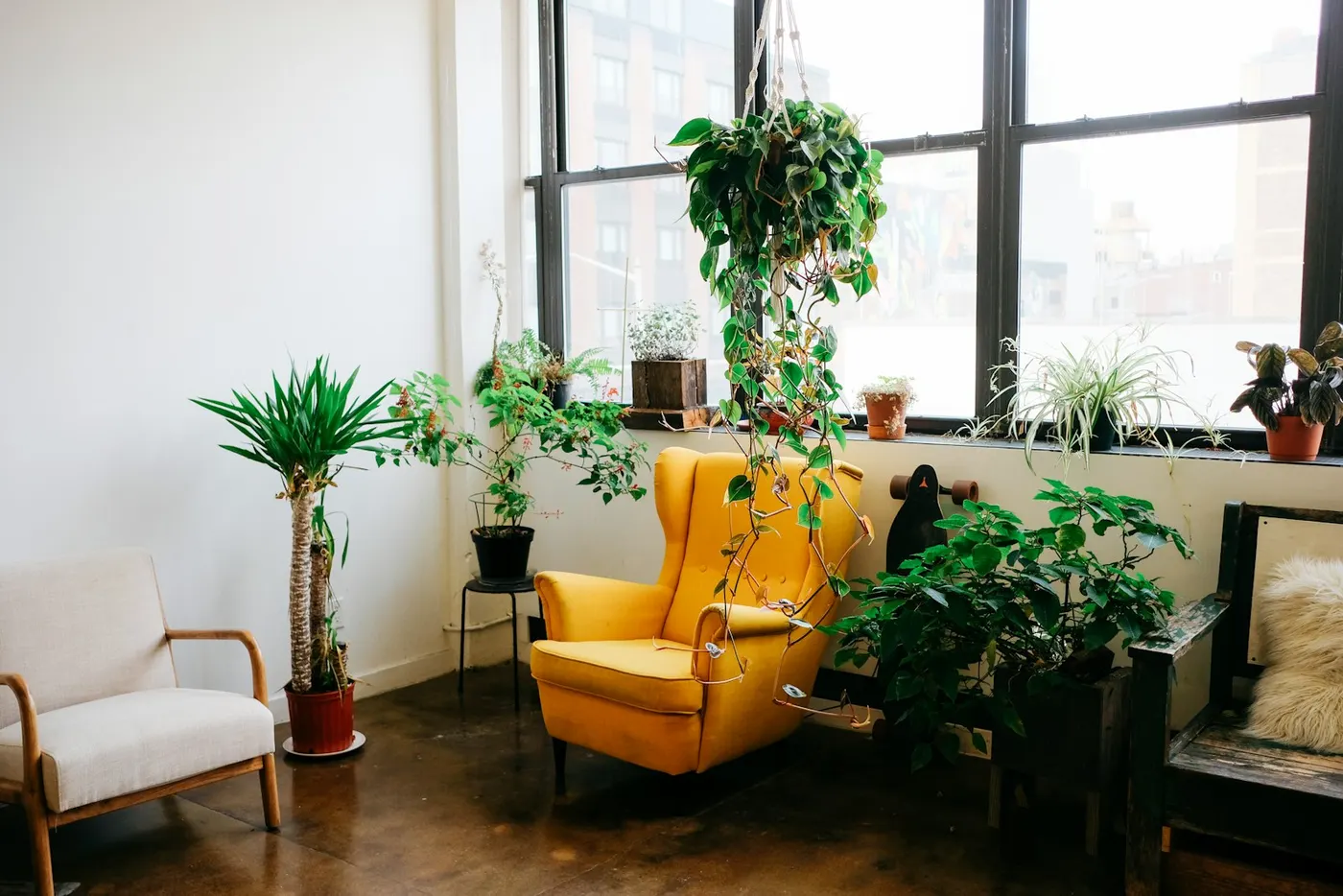 Sala de espera com plantas e luz natural