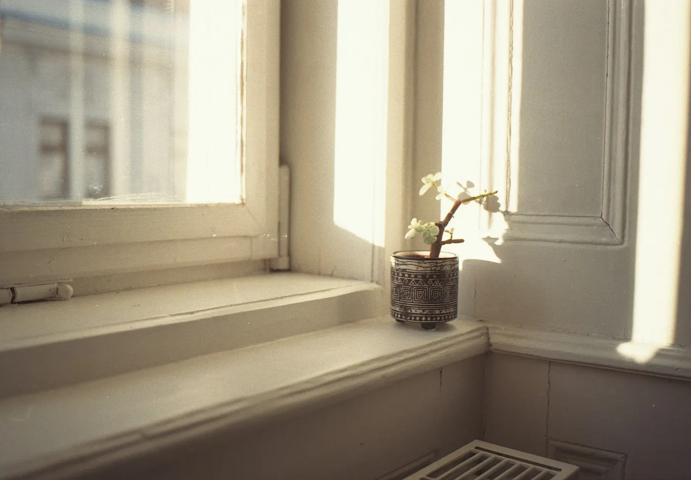 Detalhe de janela com plantas